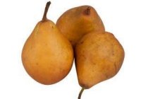 stoofperen gieser wildeman