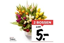 tulpen