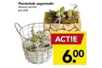 plantenbak opgemaakt