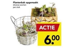 plantenbak opgemaakt