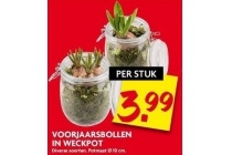 voorjaarsbollen in weckpot