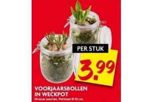 voorjaarsbollen in weckpot