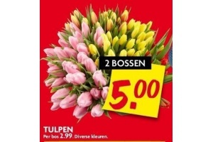 tulpen