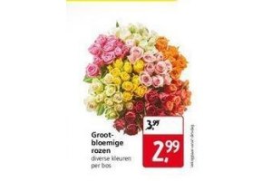 grootbloemige rozen