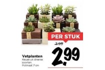 vetplanten