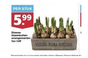 diverse bloembollenarrangementen