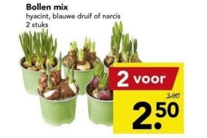 diverse bollen mixen