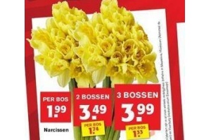 narcissen