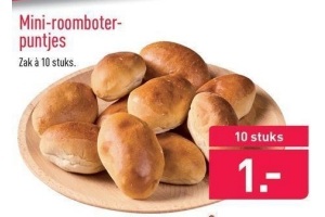 mini roomboterpuntjes