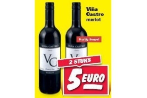 vina castro merlot