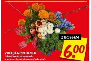 voorjaarsbloemen