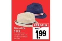 barsolino hoed