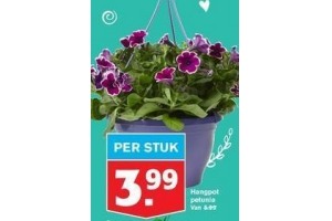 hangpot petunia