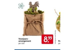 voorjaarsarrangement