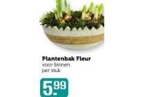 plantenbak fleur 1 stuk