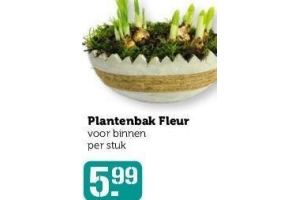 plantenbak fleur 1 stuk