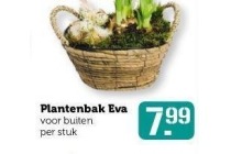 plantenbak eva 1 stuk