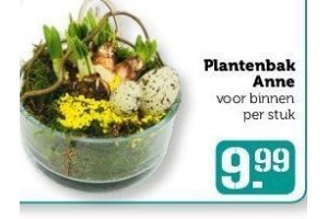 plantenbak anne 1 stuk