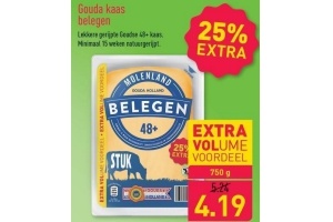 gouda kaas belegen