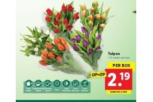 tulpen