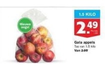 gala appels