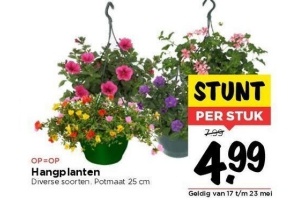 hangplanten