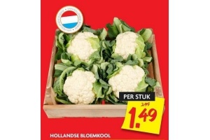 hollandse bloemkool