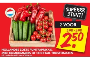 hollandse zoete puntpaprika s midi komkommers of cocktail trostomaten