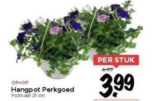 perkgoed hangplant