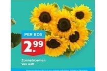 zonnebloemen