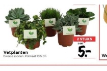 vetplanten