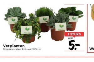 vetplanten