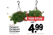 hangpot perkgoed portulaca