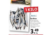 sardines