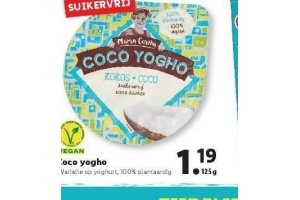 coco yogho