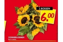 zonnebloemen