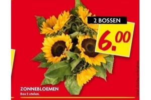 zonnebloemen