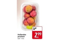 hollandse pruimen