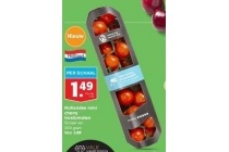 hollandse mint cherry trostomaten