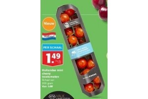 hollandse mint cherry trostomaten