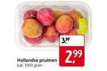 hollandse pruimen