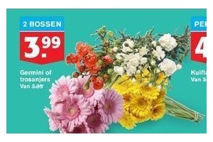 germini of trosanjers nu 2 bossen voor eur3 99