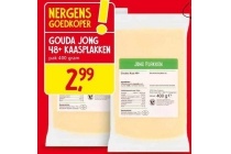 gouda jong 48 kaasplakken