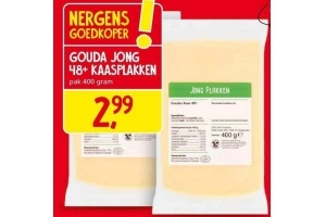 gouda jong 48 kaasplakken