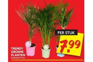 trendy groene planten