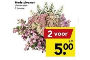 herfstbloemen