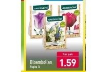 gardenline bloembollen 1 stuk