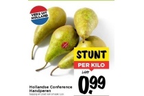 hollandse conference peren