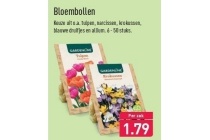 bloembollen