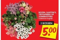 rozen santini s trosanjers of zomerasters